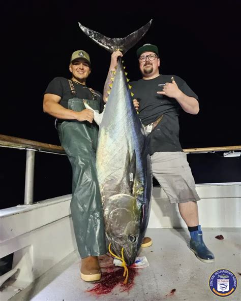 976-tuna|976 tuna saltwater report.